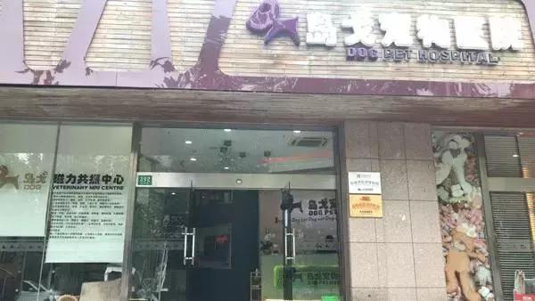 中国为什么没有正规的宠物医院,国内靠谱的宠物医院