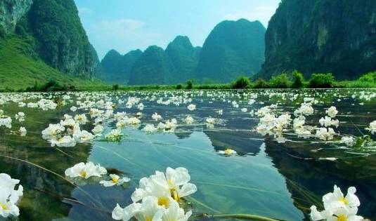 云南菜稀奇古怪,中国奇葩菜名