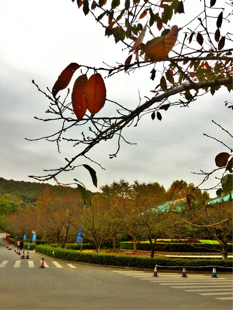 十大最美校园深圳大学,探访最美大学武汉大学