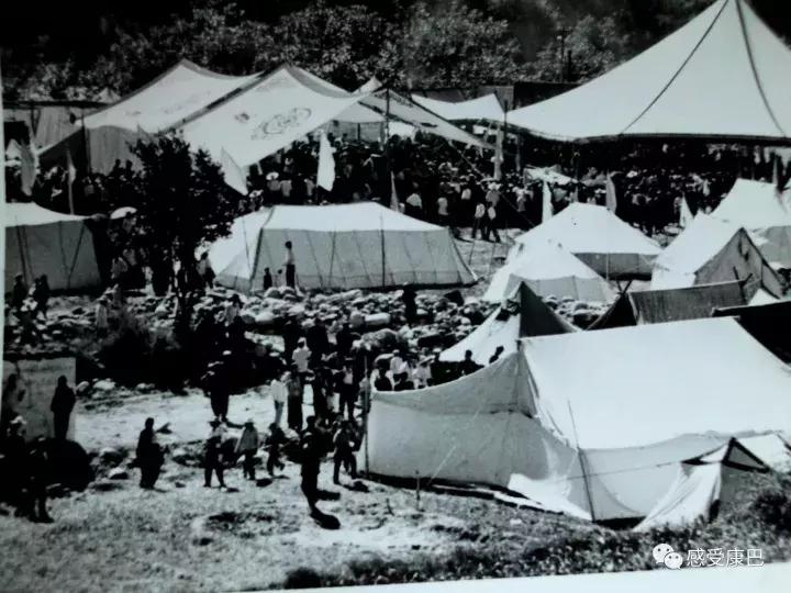 雪山上的红牡丹,藏族雪山上的红牡丹