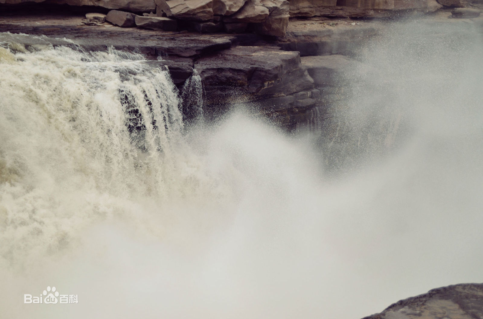 哇哇哇！这里简直美呆啦！
