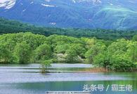 淘客运营模式怎么盈利,淘客如何盈利