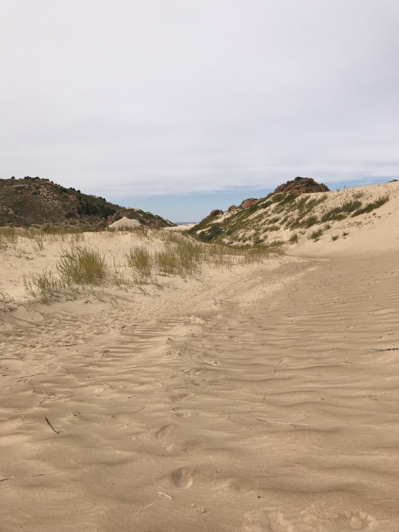 自驾赤峰草原2日,自驾赤峰草原视频
