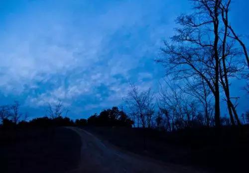 维密秀摔倒事件,维密超模走秀崴脚