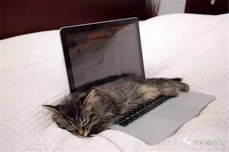 歪果仁为什么不喜欢在客厅放电视?没有电视的背景墙该怎样处理