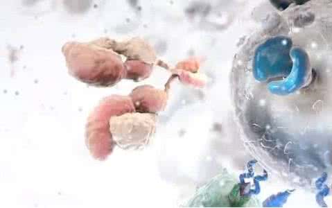 pd1单抗一线治肺癌,香港单抗