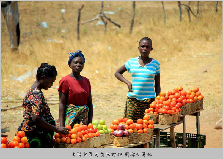 办理入境手续遭索贿,博主巧妙应对,双方皆大欢喜,顺利过关