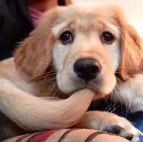 打雷害怕该怎么回复,打雷女生害怕怎么安慰