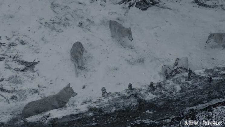 看不懂九州海上牧云记,九州海上牧云记第二部全集免费版