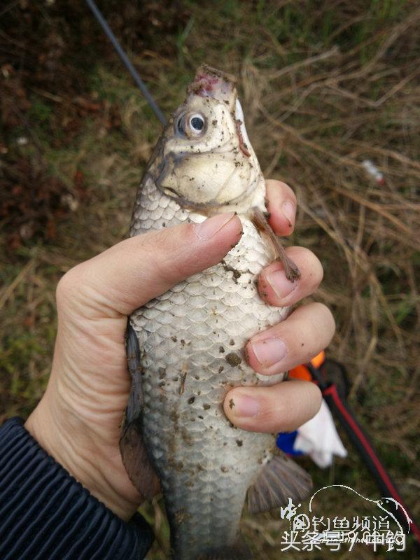 携好友出征私留地天虽冷鱼情很给力