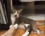 每次去电影院都要遇到的奇葩情侣,每次去电影院出来就头疼