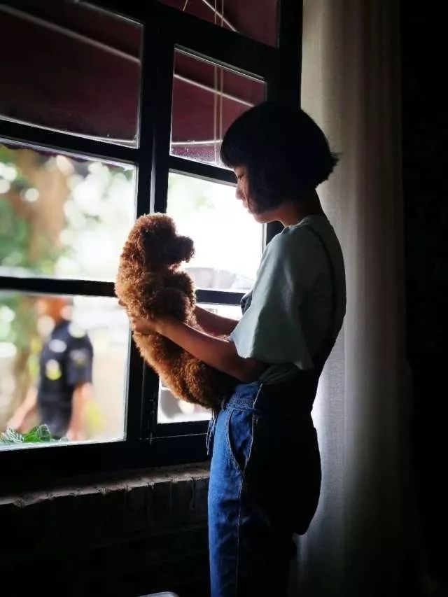 兴趣岛手机摄影大赛获奖作品欣赏,东营河口摄影大赛