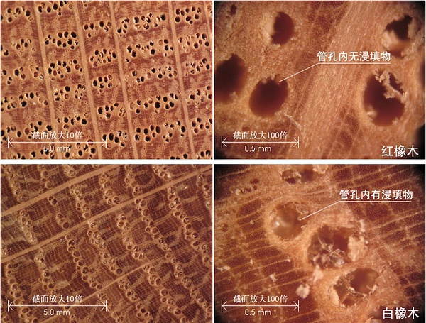 白橡木和红橡木白蜡木哪个好,红橡木和白橡木的价格对比