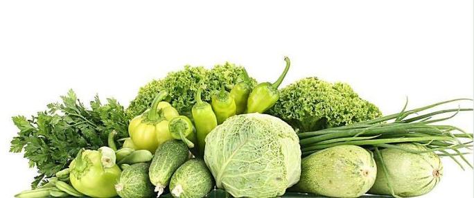 为什么要吃有机的,为什么要吃有机蔬菜