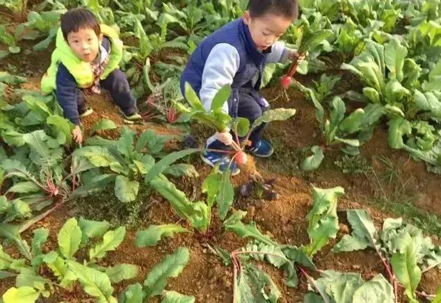 重庆高山避暑垂钓,周末自驾烧烤好去处