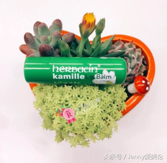 jenny平价口红推荐,jenny口红好用吗