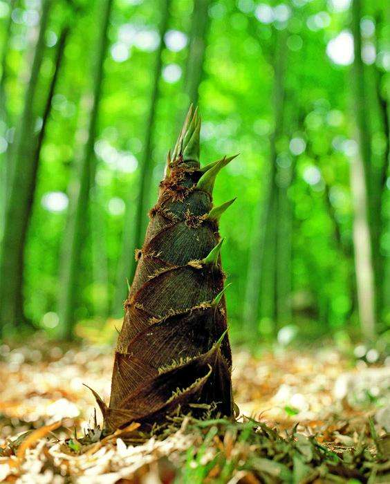 生活小妙招免费拿走不谢,实用生活小妙招好物品