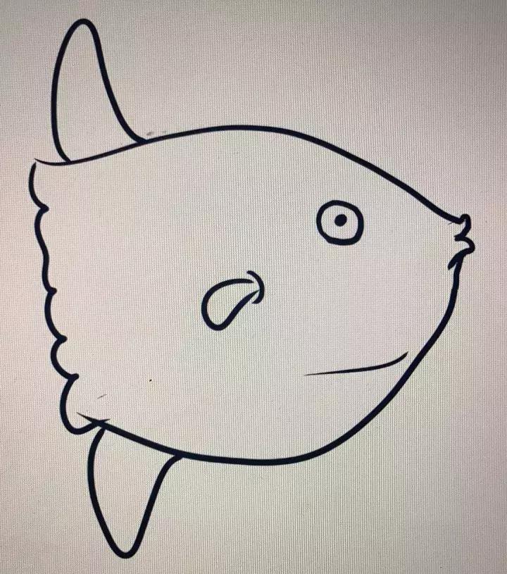 与火山对望的日子,巴厘岛阿贡火山2017年喷发