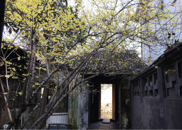 无锡七大古镇,江苏无锡古镇排名一览表