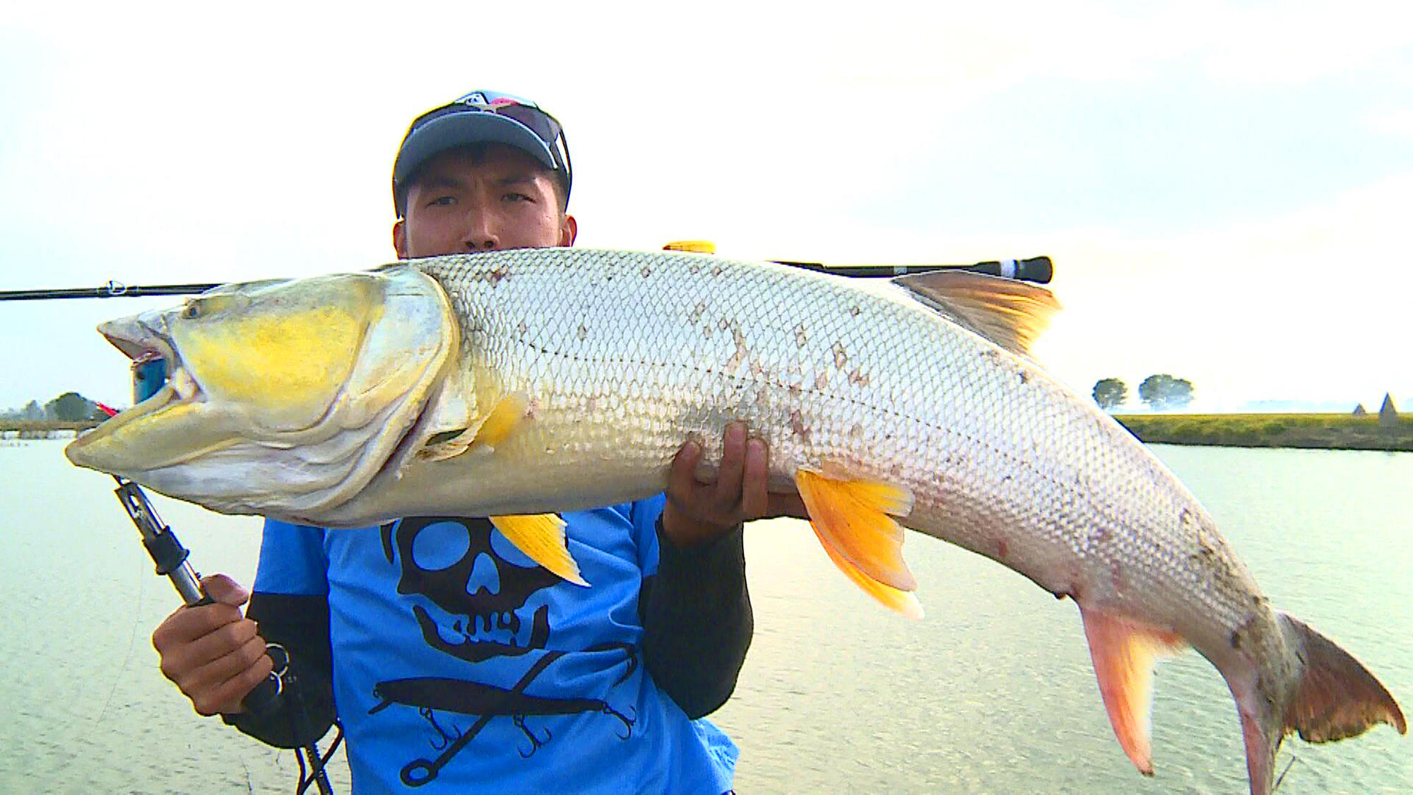 够胆你就来张惠妹,够胆你就来粤语怎么说