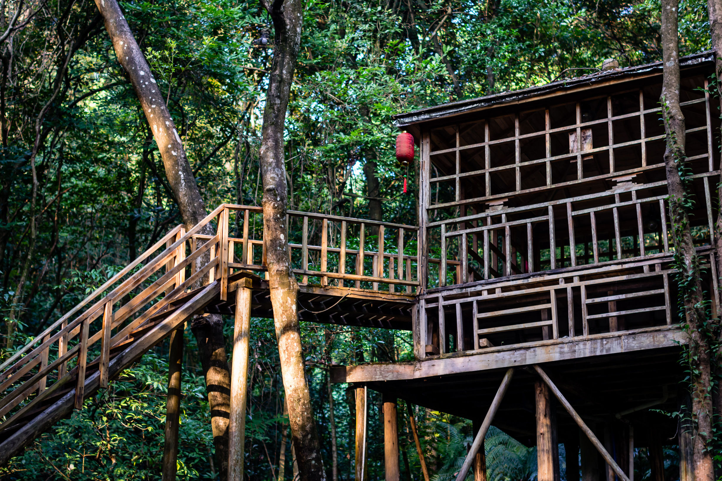 空山有灵,漫步阡陌