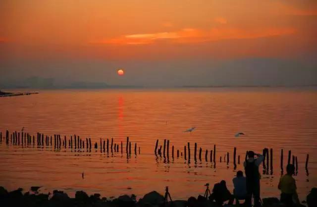 深圳十大打工美女排名表,深圳第一美女简历