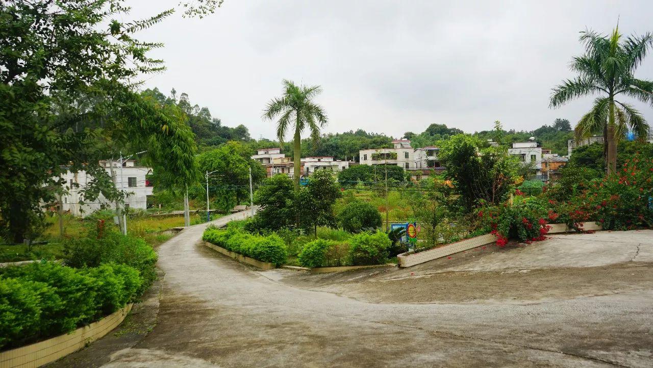 清远清新文明村,清远市文明村