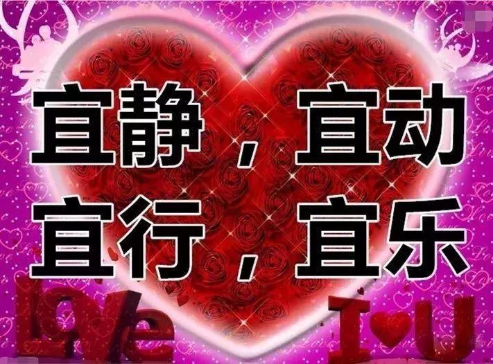 我的相册视频,十寸相册