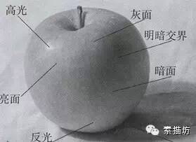 理解素描明暗交界,素描理解转折