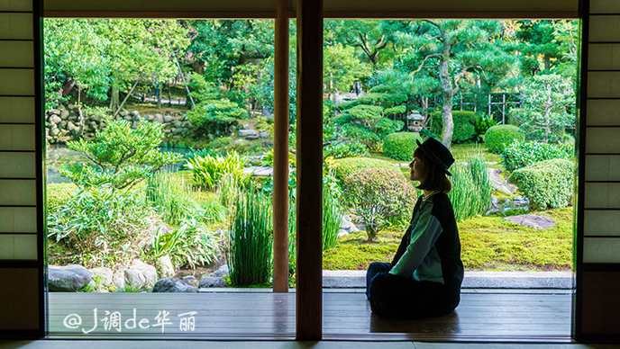 日本金泽旅游,日本金泽美景
