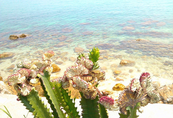 20个最值得去的深圳海滩,深圳最值得去的三个海