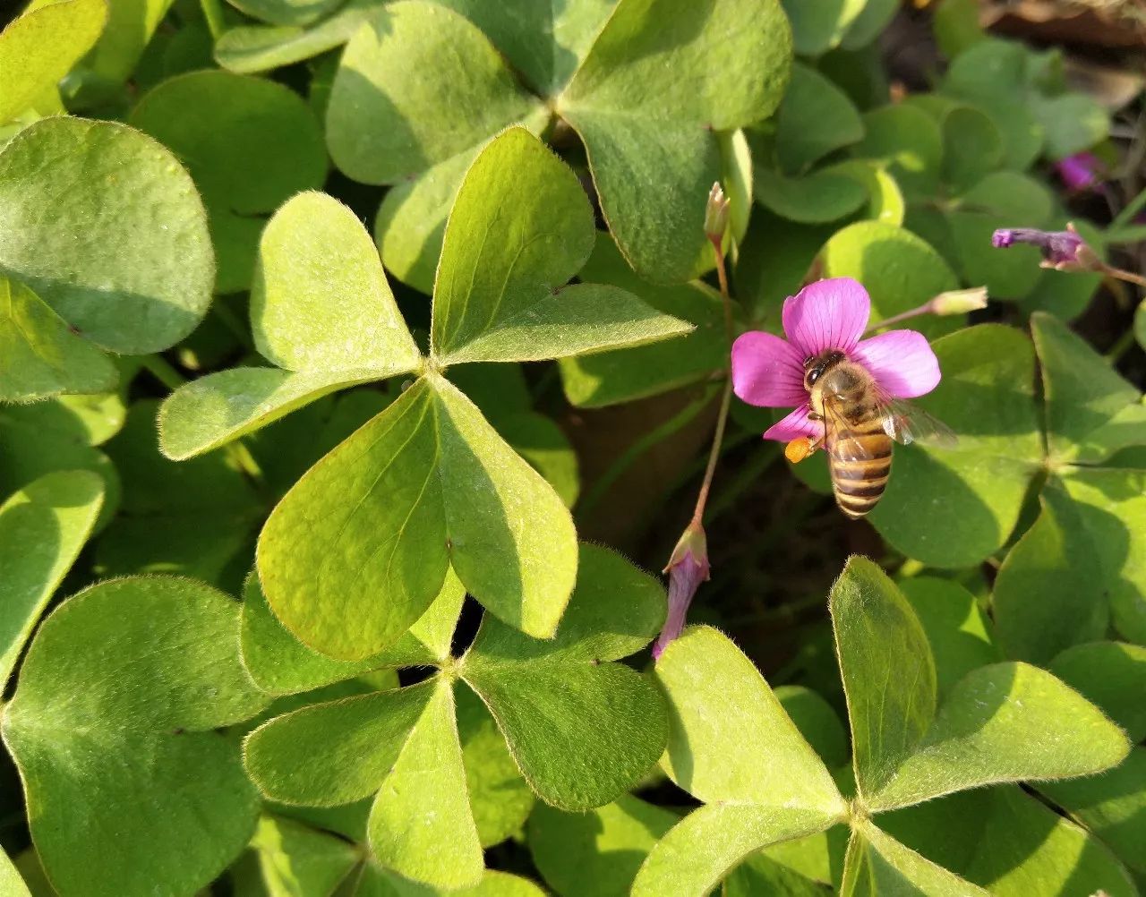 360n6评测吃鸡,360n6pro黑科技