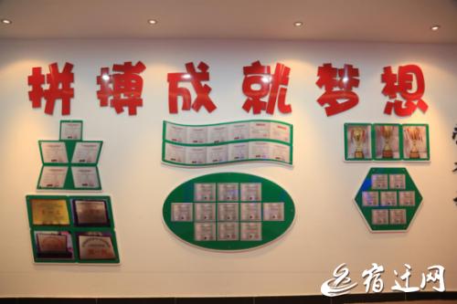 世界杯女子足球比赛现场直播,世界杯女子足球比赛直播现场