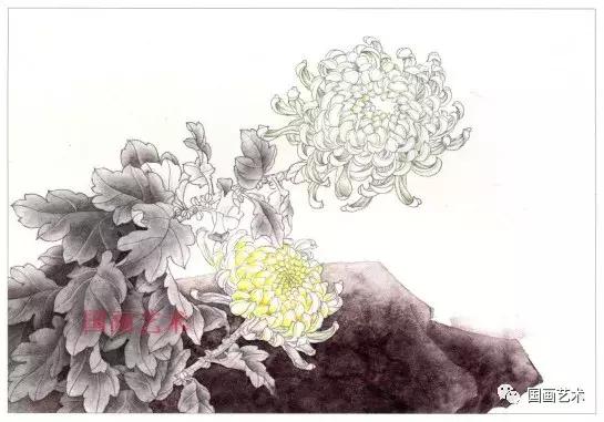 工笔菊花画法步骤示范,工笔菊花设色步骤