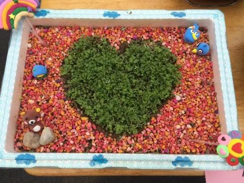 连云港高端幼儿园,连云港幼儿园哪里好