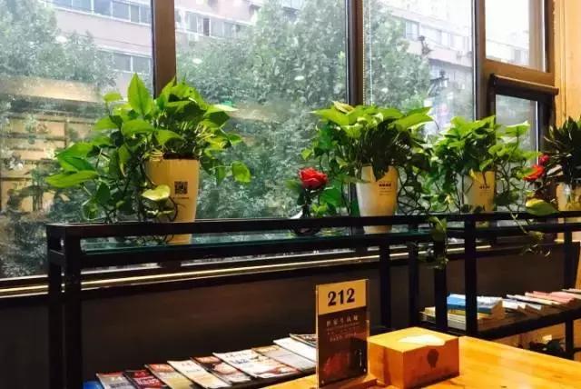 郑州国基大学城生活园区西餐厅,郑州威斯蒂娜西餐厅