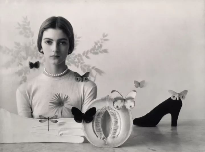 欧文佩恩摄影大师,欧文佩恩高清大图