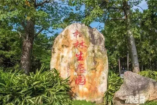 来清远必须要打卡的几个地方,清远市区可以逛的地方