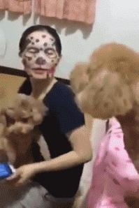 狗与面膜不可兼得，看到主人敷面膜...汪星人夺门而逃！