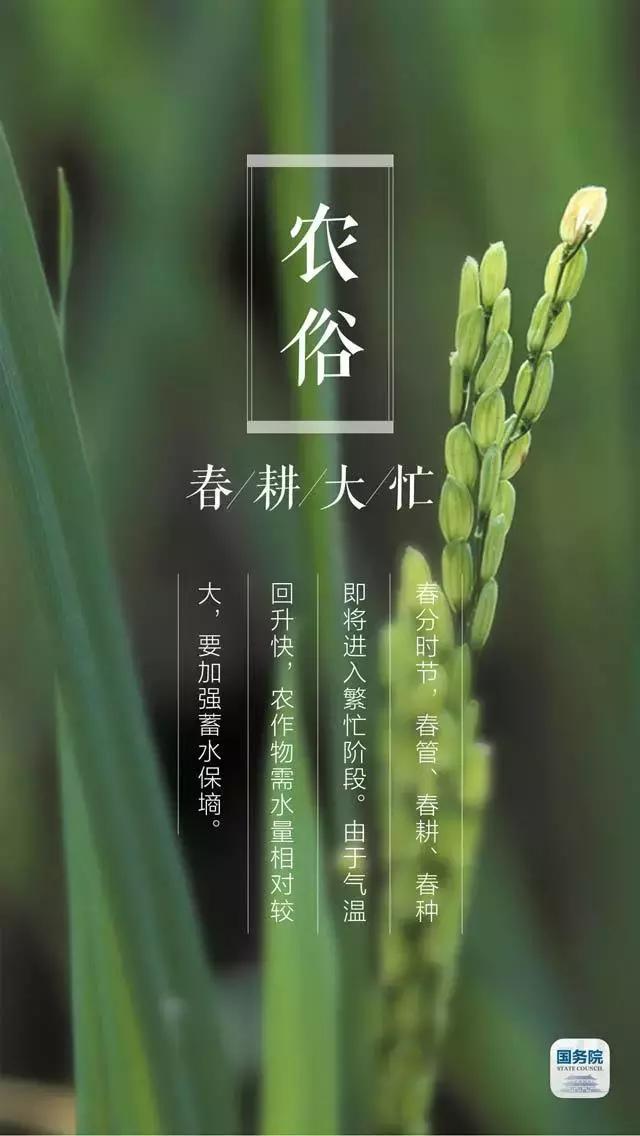 一张图上包含二十四节气壁纸,高清中国插画二十四节气壁纸