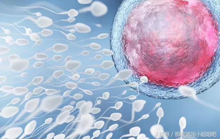 如何成功怀孕?医生告诉你成功怀孕的3个前提条件