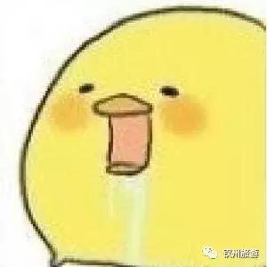 钦州有生蚝吗,钦州哪里的大蚝便宜