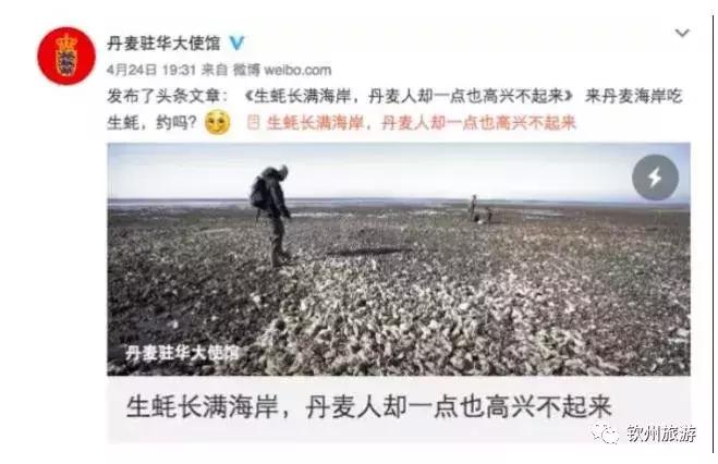 钦州有生蚝吗,钦州哪里的大蚝便宜