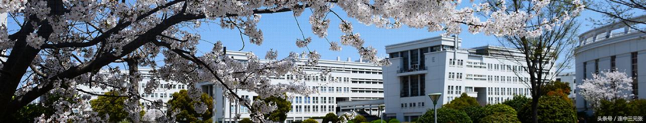 2019考研必须了解的40个专业学位硕士研究生之：汉语国际教育硕士