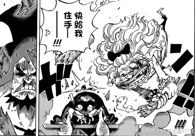 海贼王887话分析，死前整理的领带，最后参加戚风婚礼的邦德