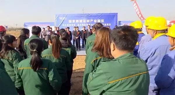 韩城金太阳花椒,韩城花椒特色现代产业园建设方案