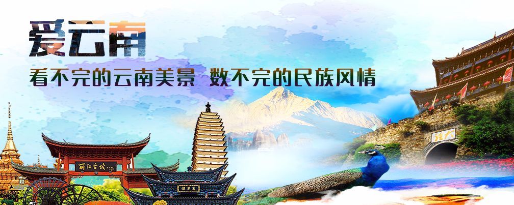 泸西好吃的米线店,泸西米线有哪些