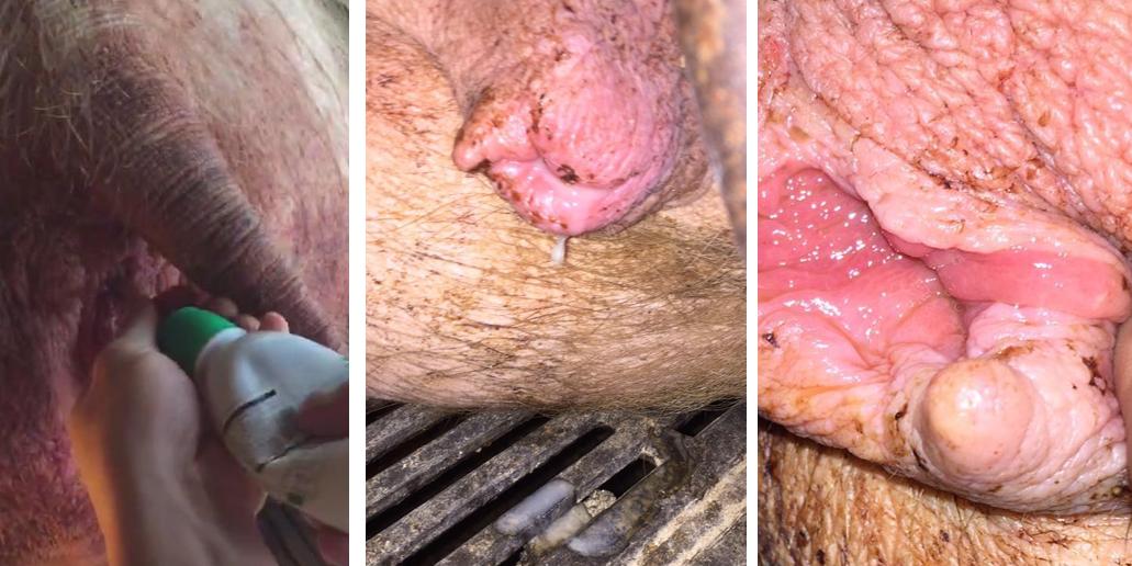 子宫炎用什么药治疗,子宫炎最好的治疗方法