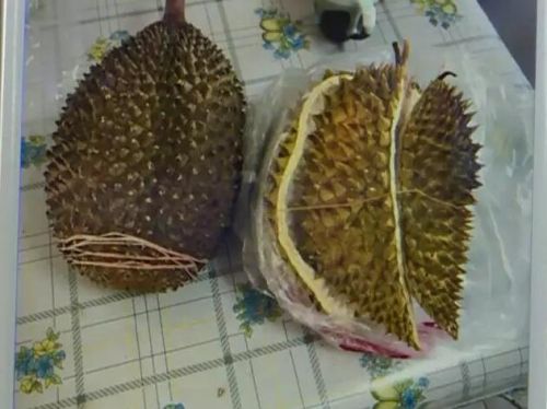 五百多元在长春维元气果坊买个猫山王榴莲不对劲儿老板叫嚣“不骗你上哪赚钱去”