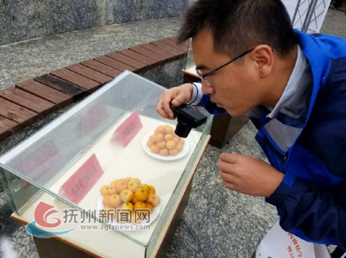 南丰蜜桔柑橘,柑桔专家